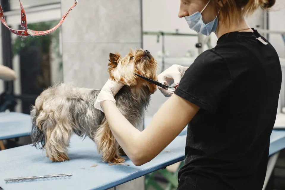 Dịch vụ khách chọn nhiều